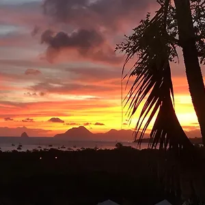 Belfond-tropical Sainte-Anne